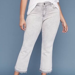 Lane Bryant Girlfriend Kick Boot Crop Jeans